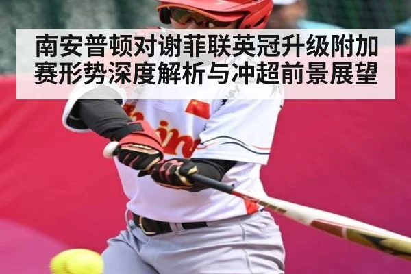 南安普顿对谢菲联英冠升级附加赛形势深度解析与冲超前景展望